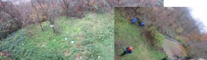 Panoramaansicht Garten