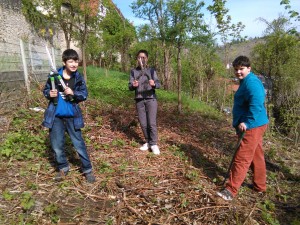 IMG_20150429_101819