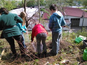 IMG_20150429_101844