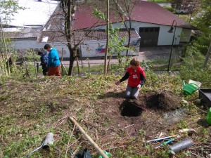 IMG_20150429_103030