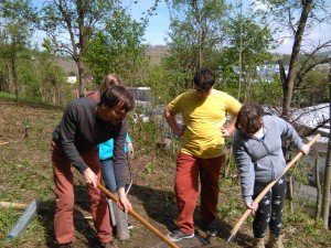 IMG_20150429_111315