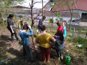 IMG_20150429_120447